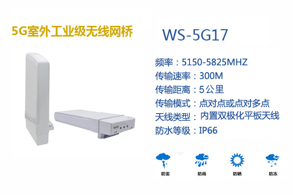 WS5G17.jpg